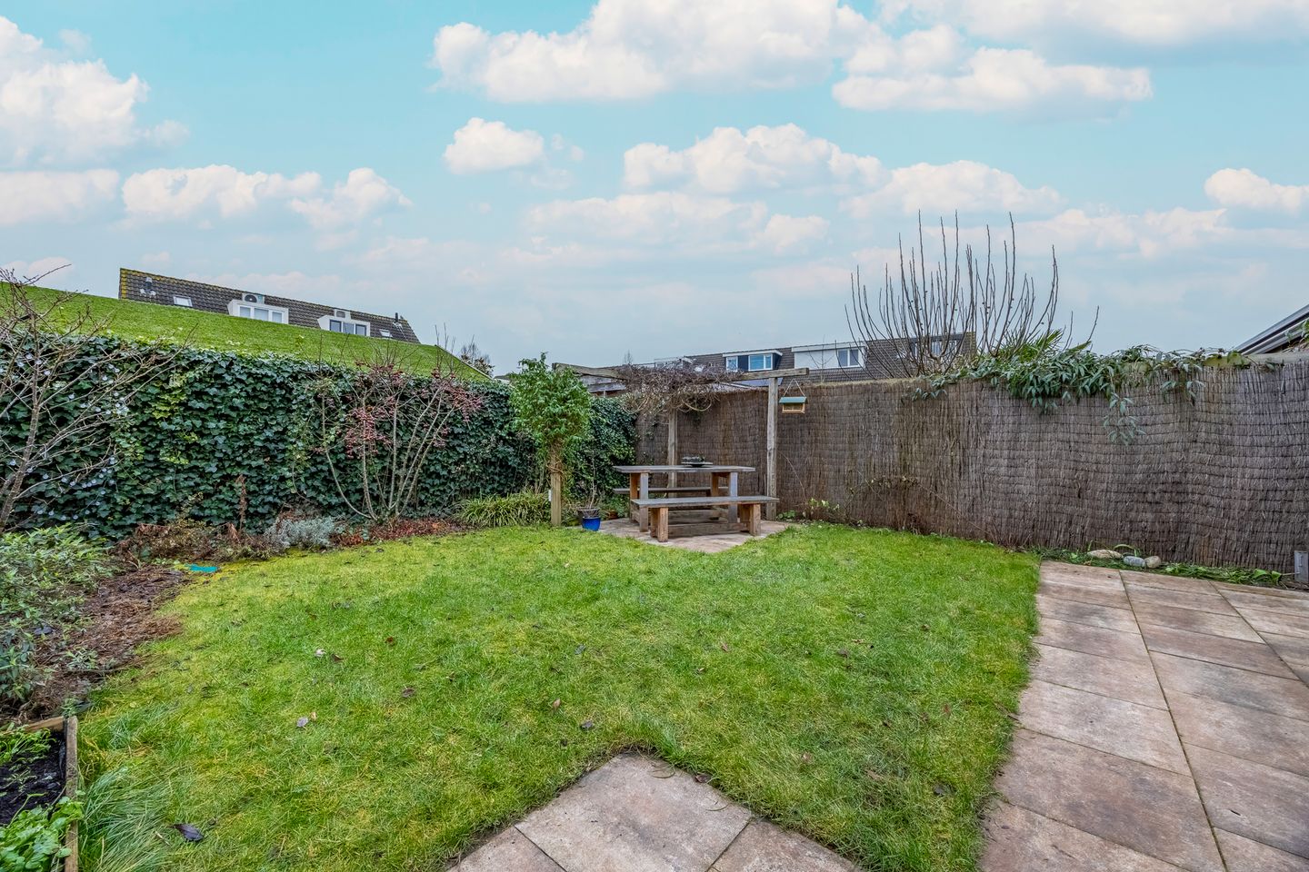 Foto 34 van Fluitekruid 64