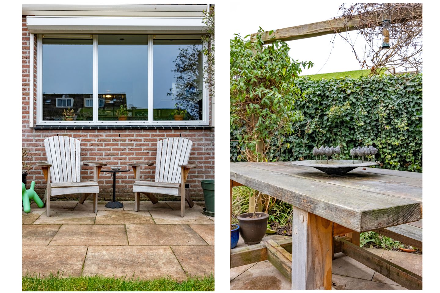 Foto 35 van Fluitekruid 64