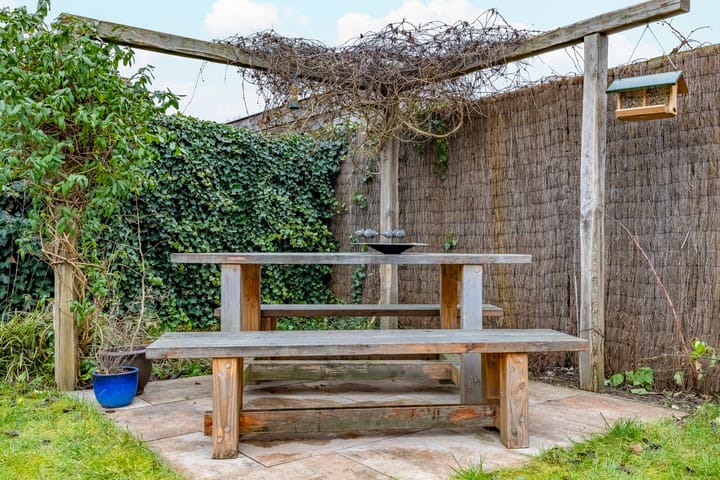 Foto 36 van Fluitekruid 64