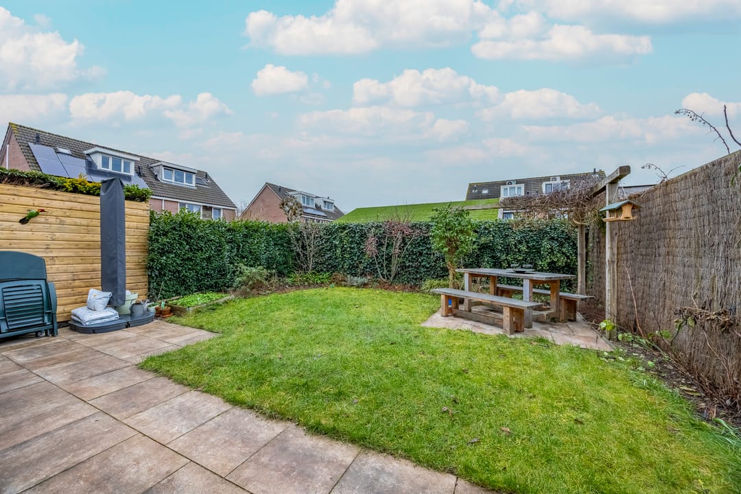 Foto 37 van Fluitekruid 64