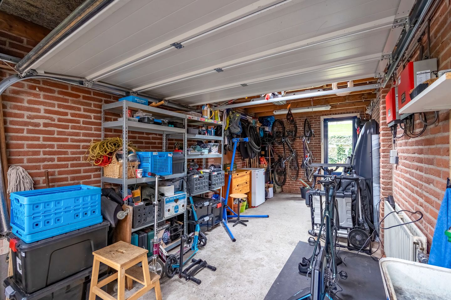 Foto 40 van Fluitekruid 64