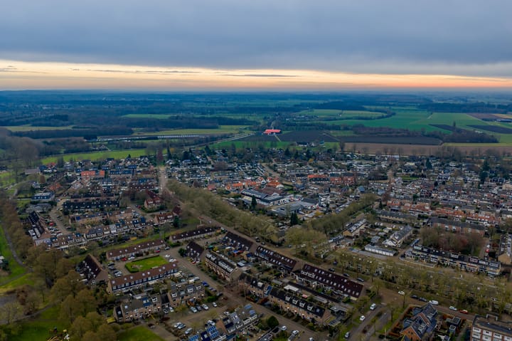 Foto 42 van Fluitekruid 64