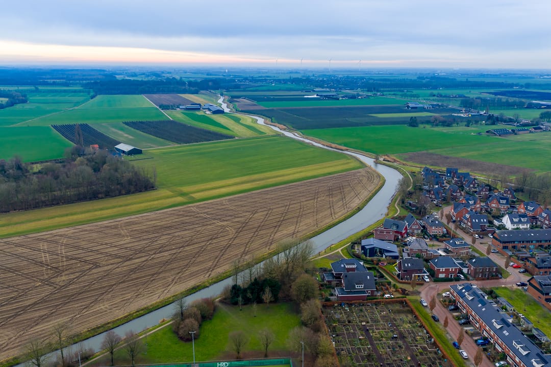 Foto 43 van Fluitekruid 64