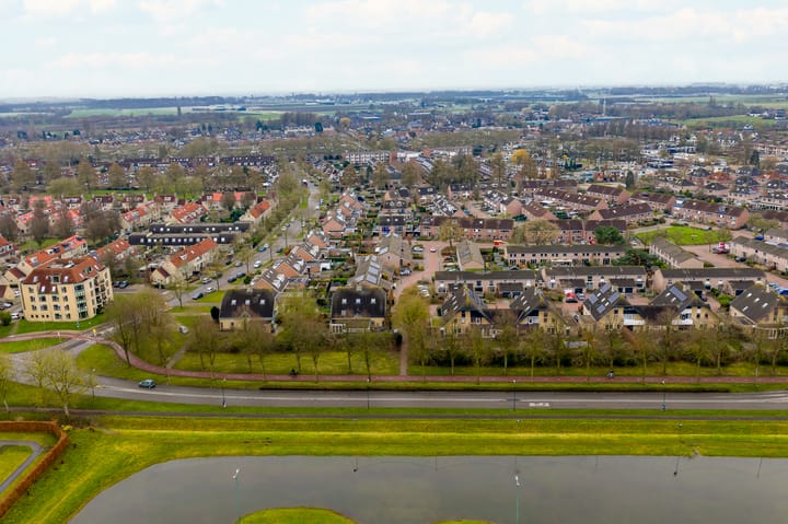 Foto 44 van Fluitekruid 64