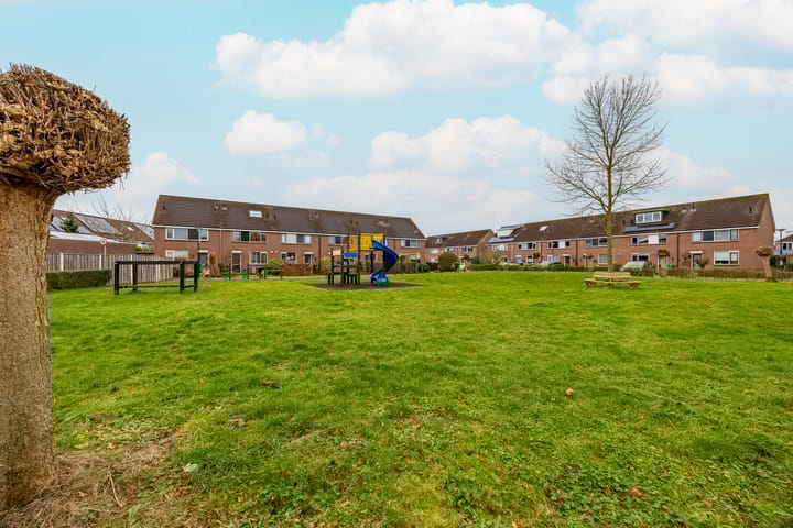 Foto 45 van Fluitekruid 64