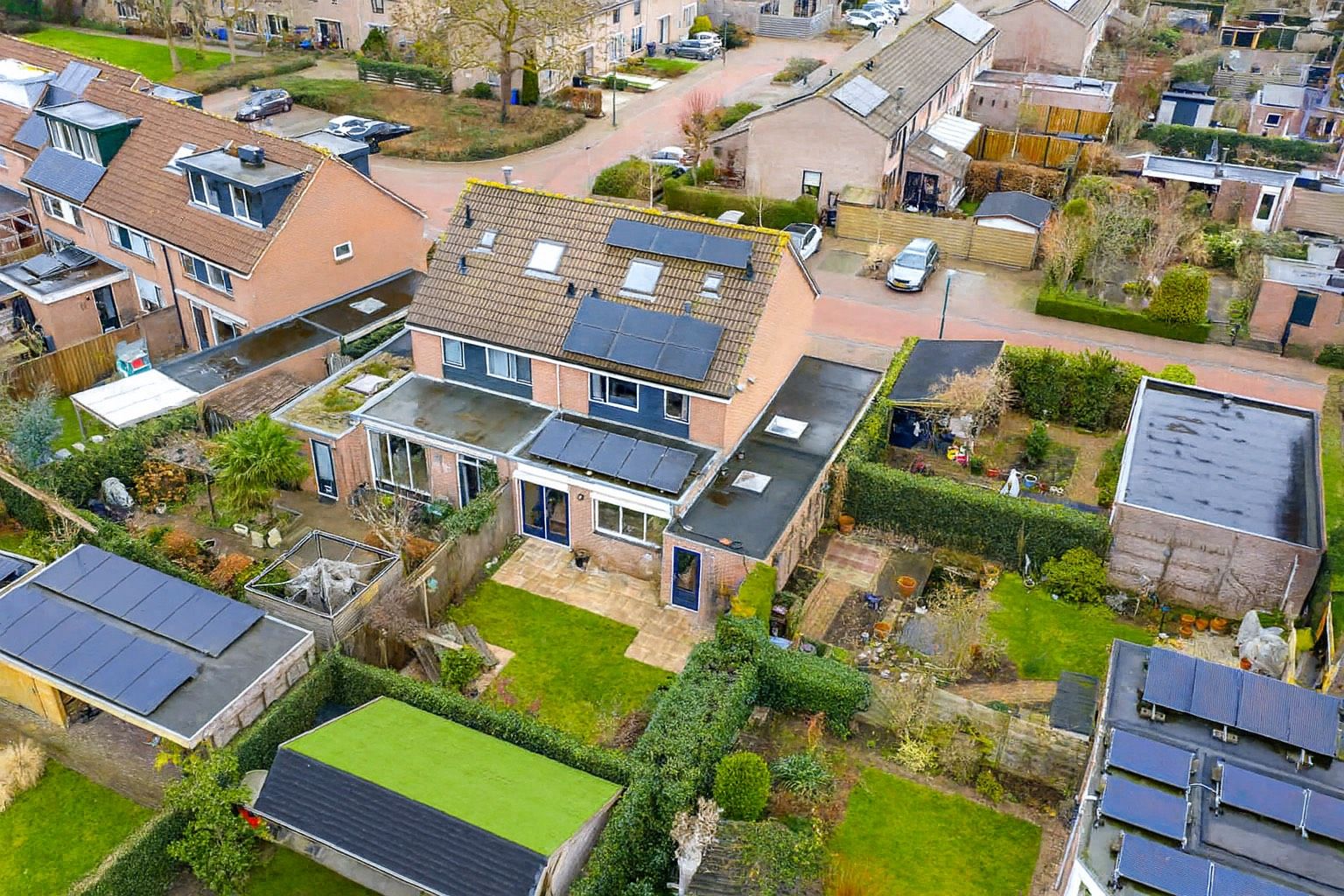 Foto 48 van Fluitekruid 64