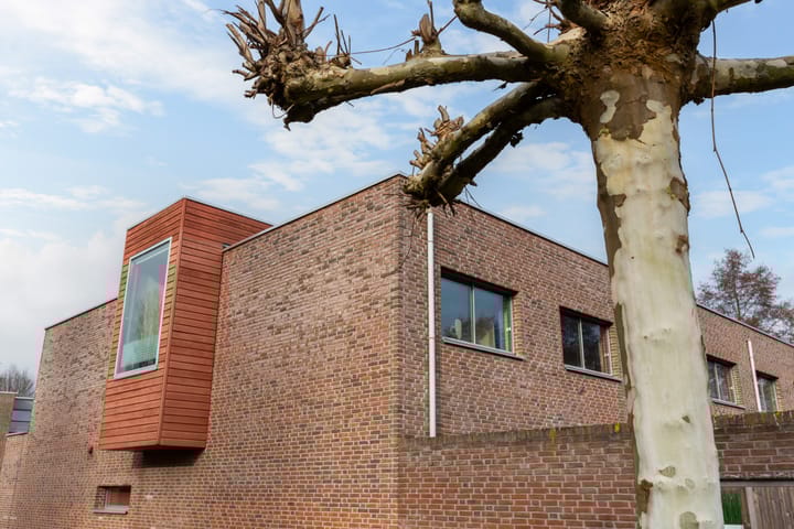 Photo 2 of Leo Fallplantsoen 19