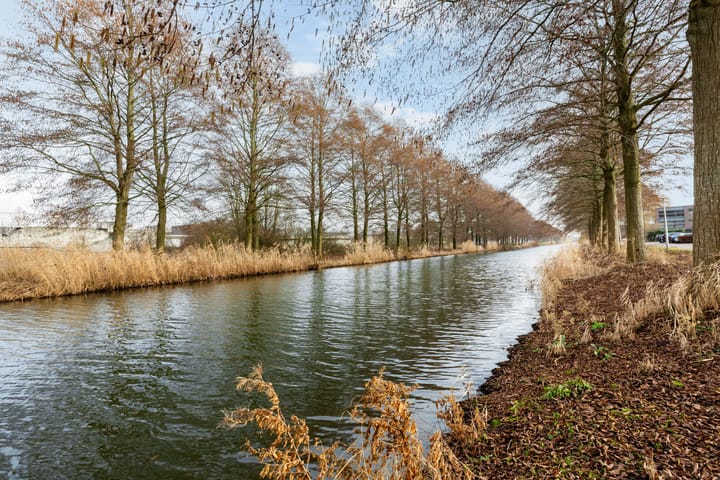 Photo 29 of Leo Fallplantsoen 19