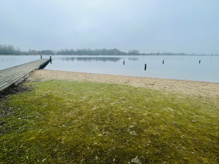 Photo 30 of Leo Fallplantsoen 19