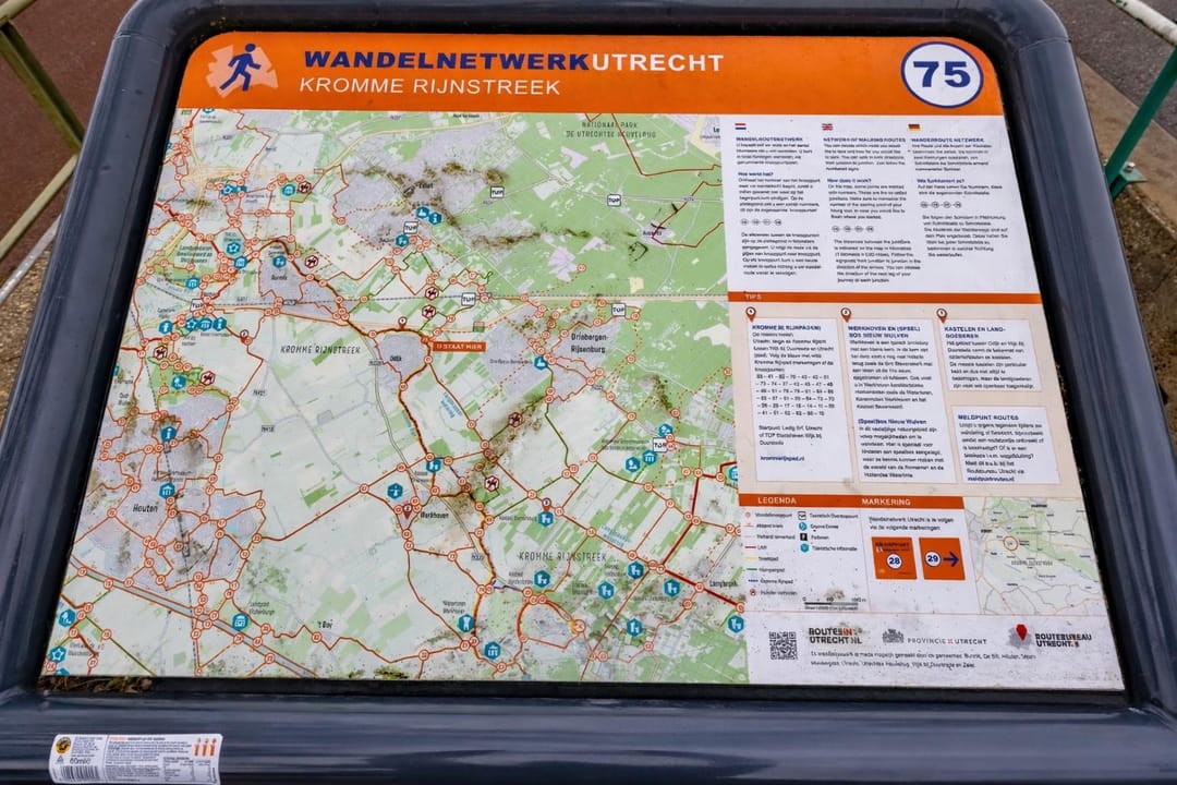 Foto 47 van Fluitekruid 64