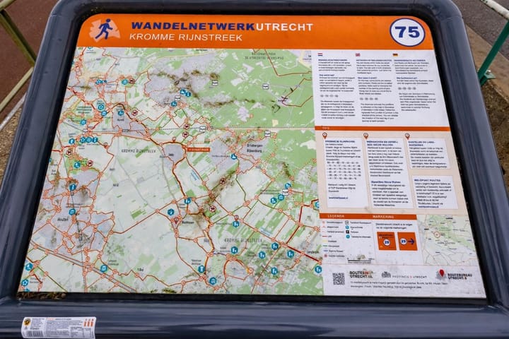 Foto 47 van Fluitekruid 64