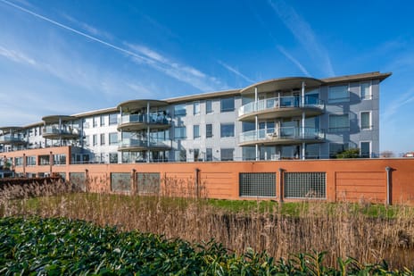 undefined main image