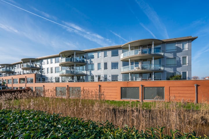 Dijkgraaf 305 main image