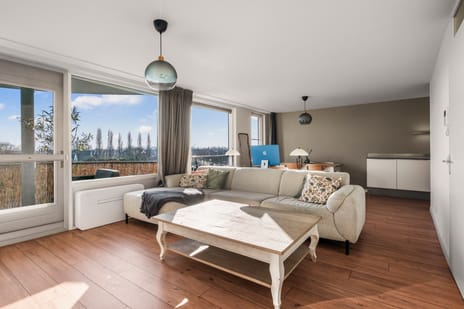 Dijkgraaf 305 tertiary image