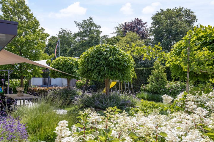 Foto 19 van Mallebrugge 1