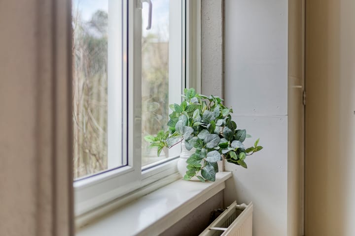 Foto 27 van Helper Weststraat 42