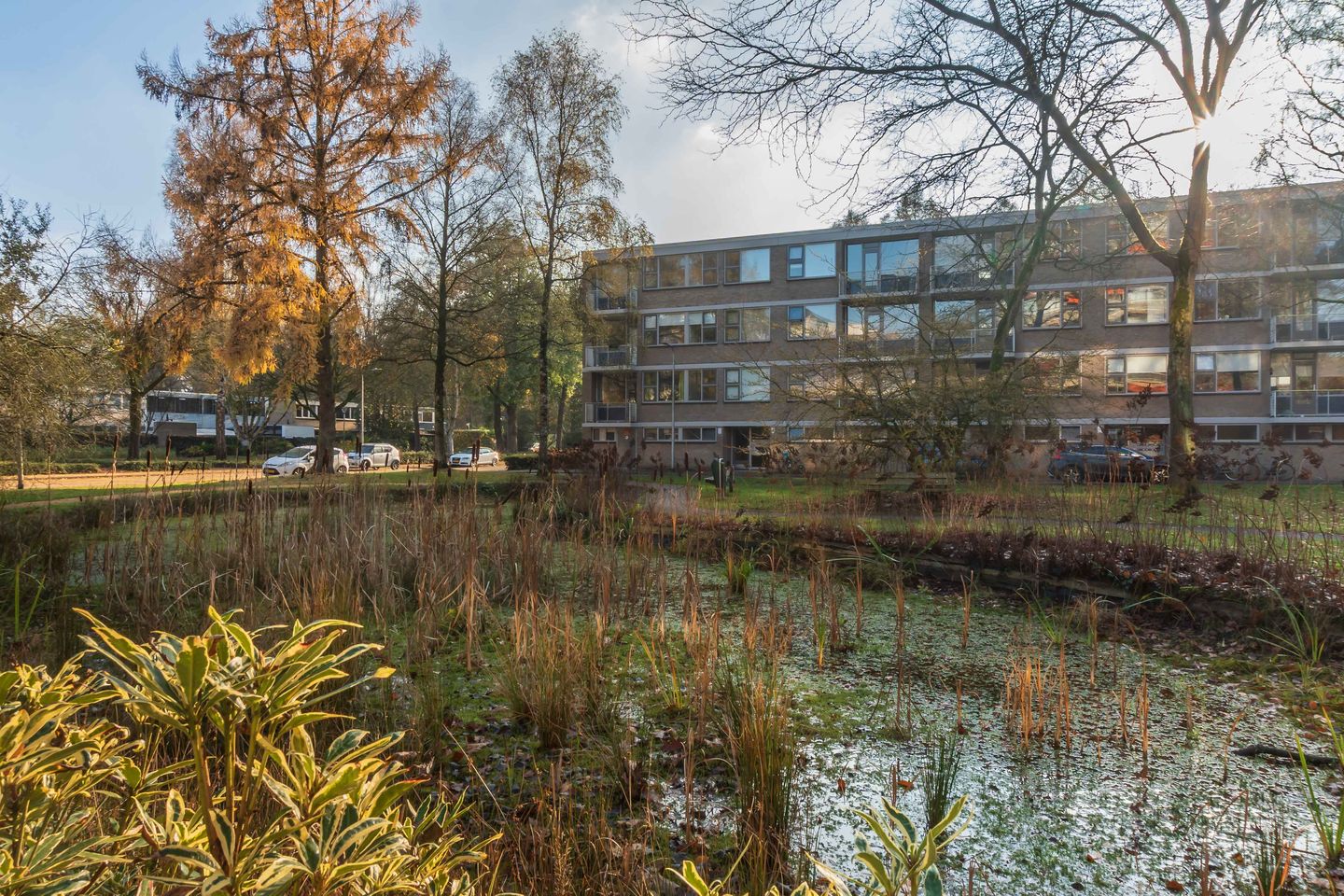 Photo 4 of Kasteel Nijenrodestraat 193