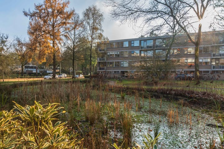 Foto 4 van Kasteel Nijenrodestraat 193