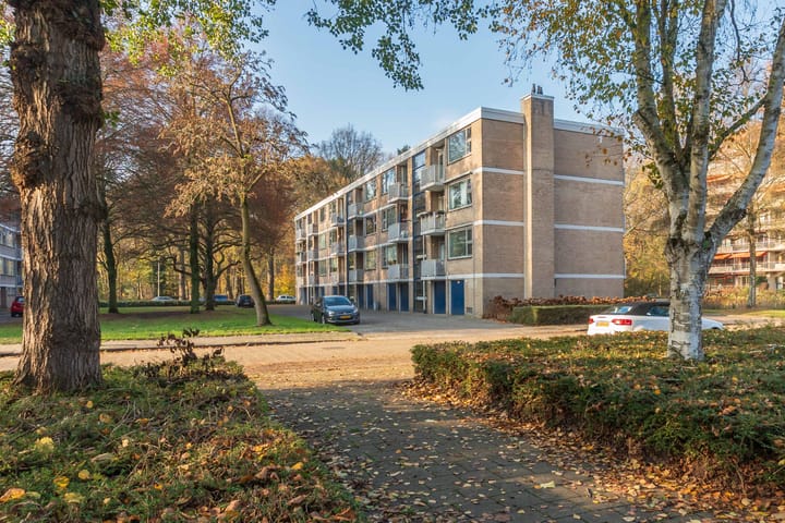 Foto 5 van Kasteel Nijenrodestraat 193