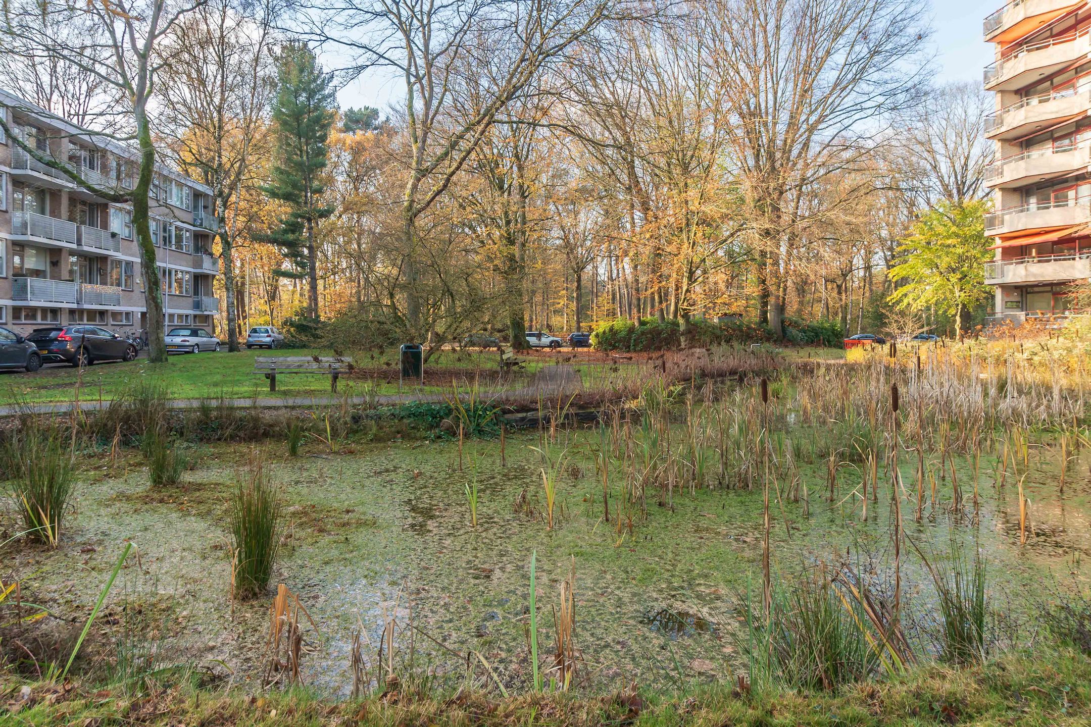 Photo 27 of Kasteel Nijenrodestraat 193