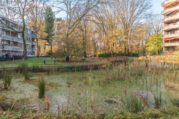 Foto 27 van Kasteel Nijenrodestraat 193