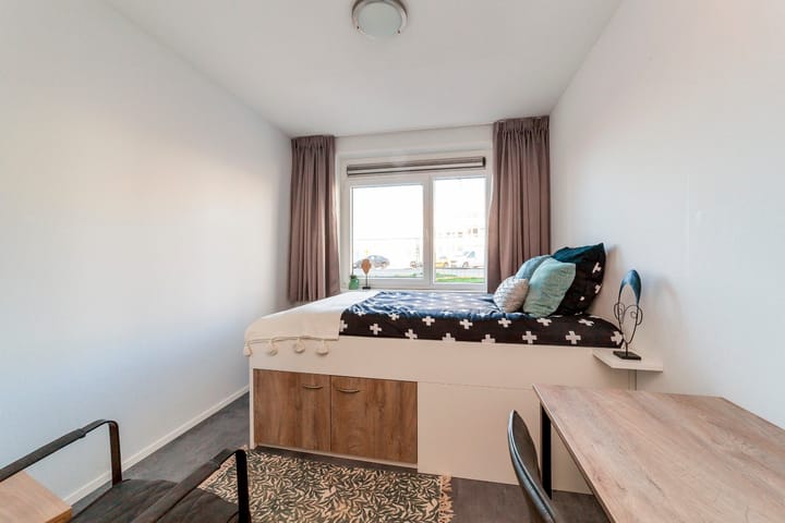 Foto 4 van Limapad 650