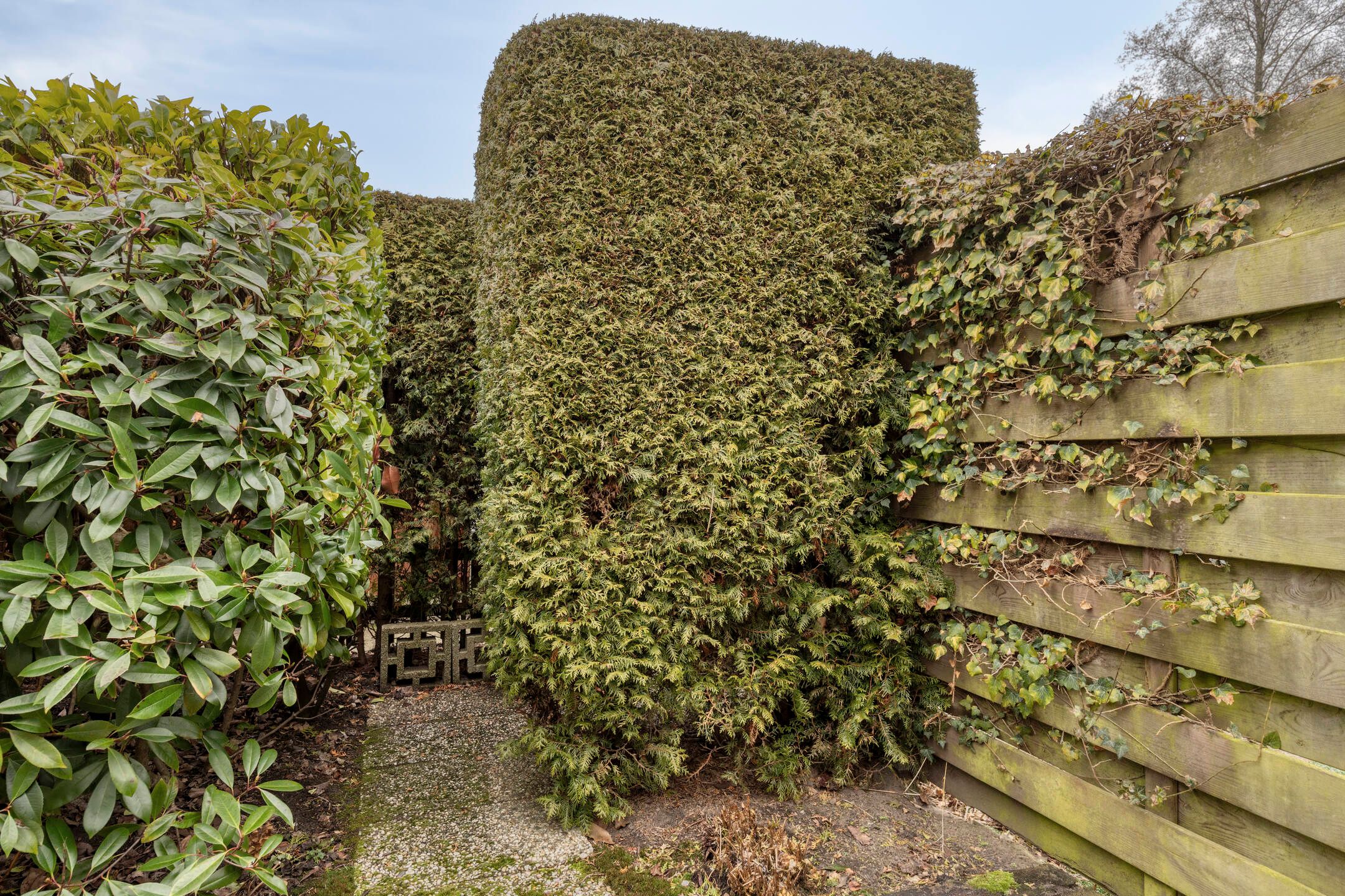 Photo 27 of Otto Klempererstraat 83