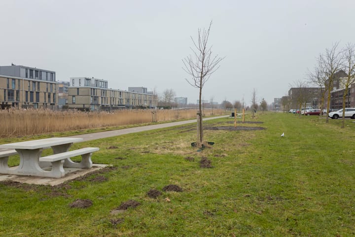 Foto 60 van Biesheuvelstraat 147