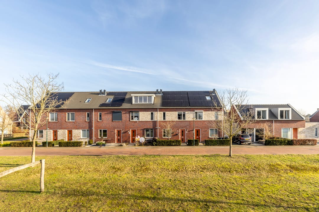 Foto 37 van Sterrennacht 34