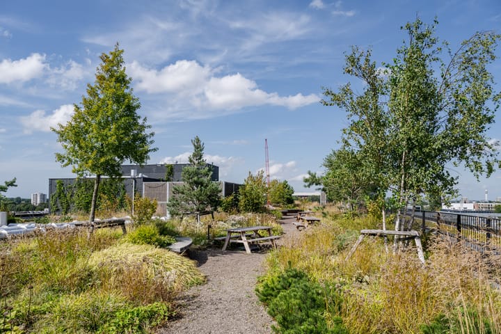 Foto 23 van Surinamepad 204