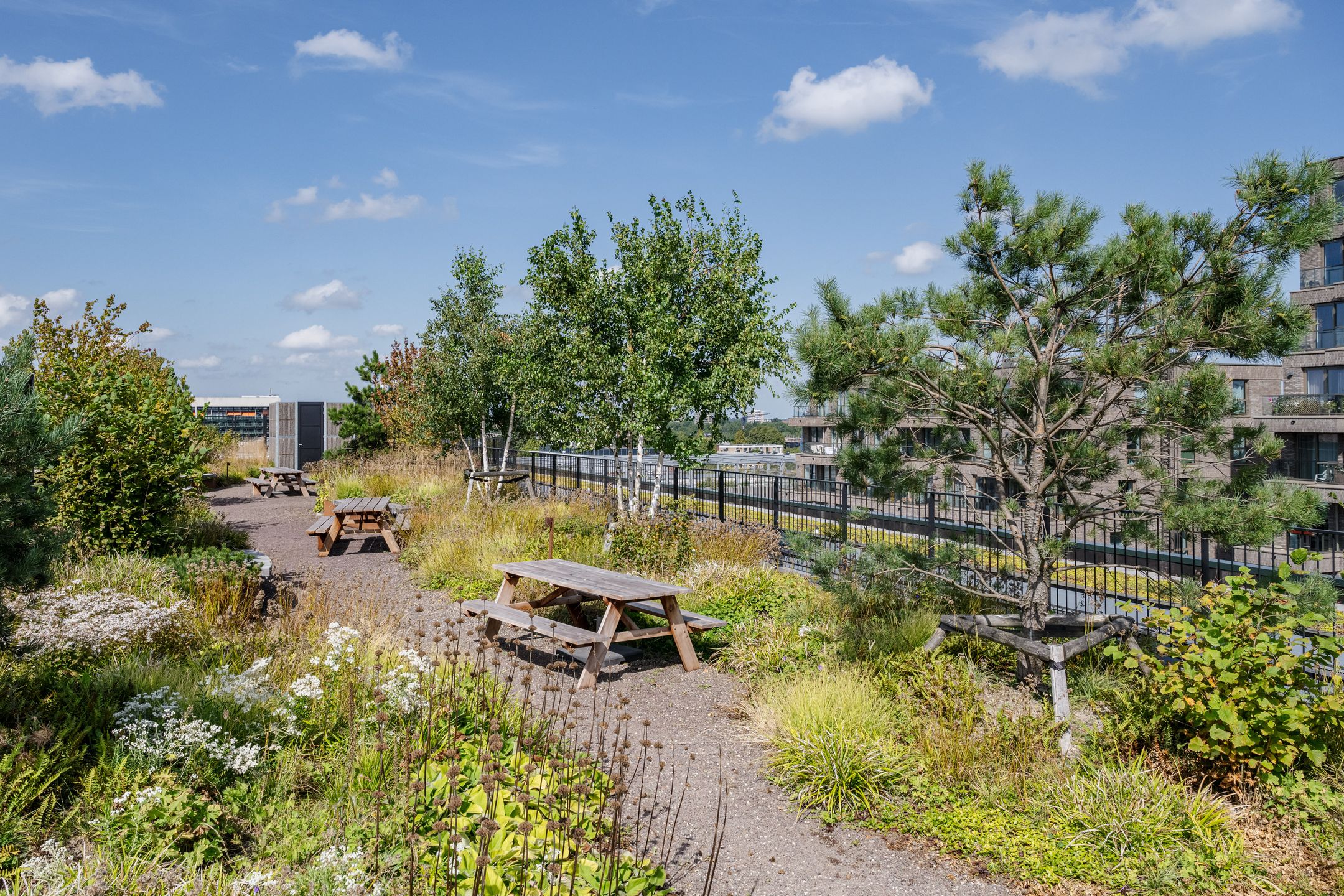 Foto 24 van Surinamepad 204