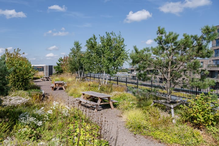 Foto 24 van Surinamepad 204