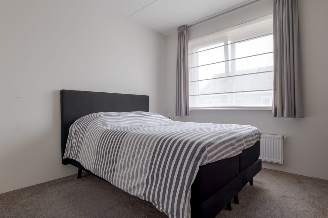 Photo 32 of Punter 17