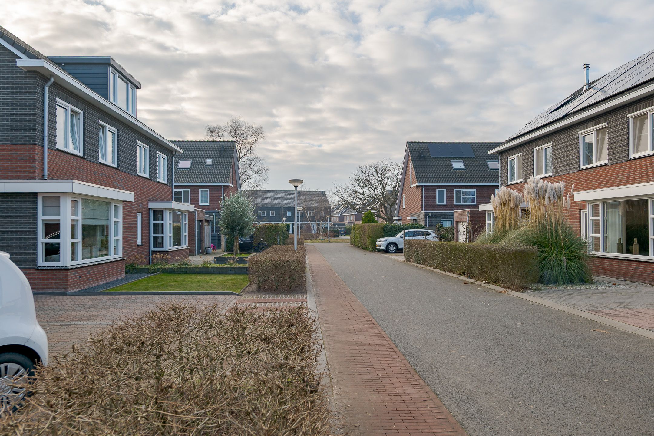 Photo 42 of Punter 17