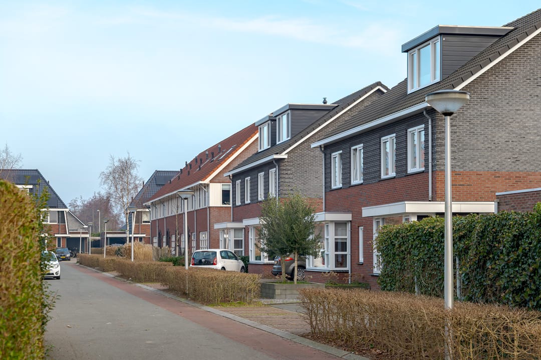 Photo 43 of Punter 17