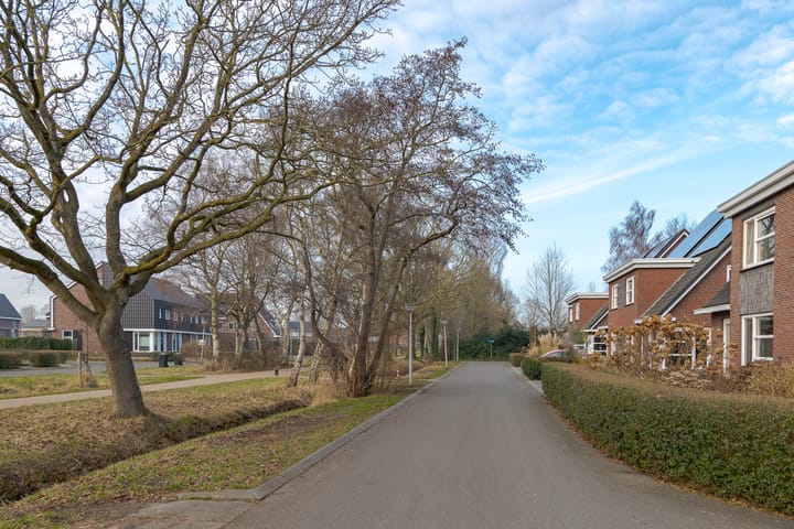 Foto 44 van Punter 17