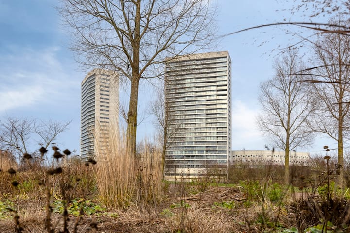 Foto 4 van Boumaboulevard 415