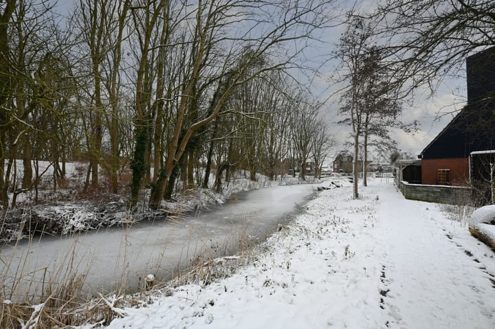 Foto 24 van Duizendroed 23