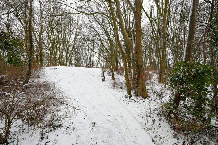 Foto 25 van Duizendroed 23