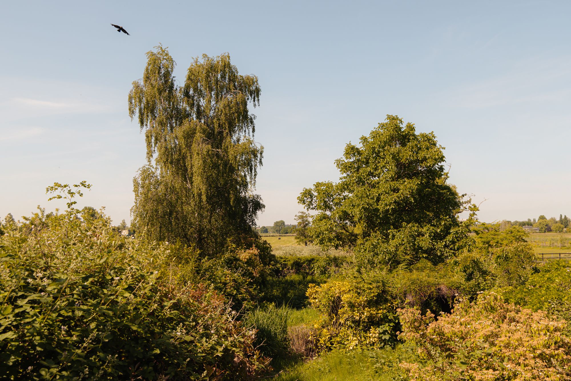 Photo 3 of Amsteldijk Noord 137