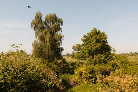 Amsteldijk Noord 137 tertiary image