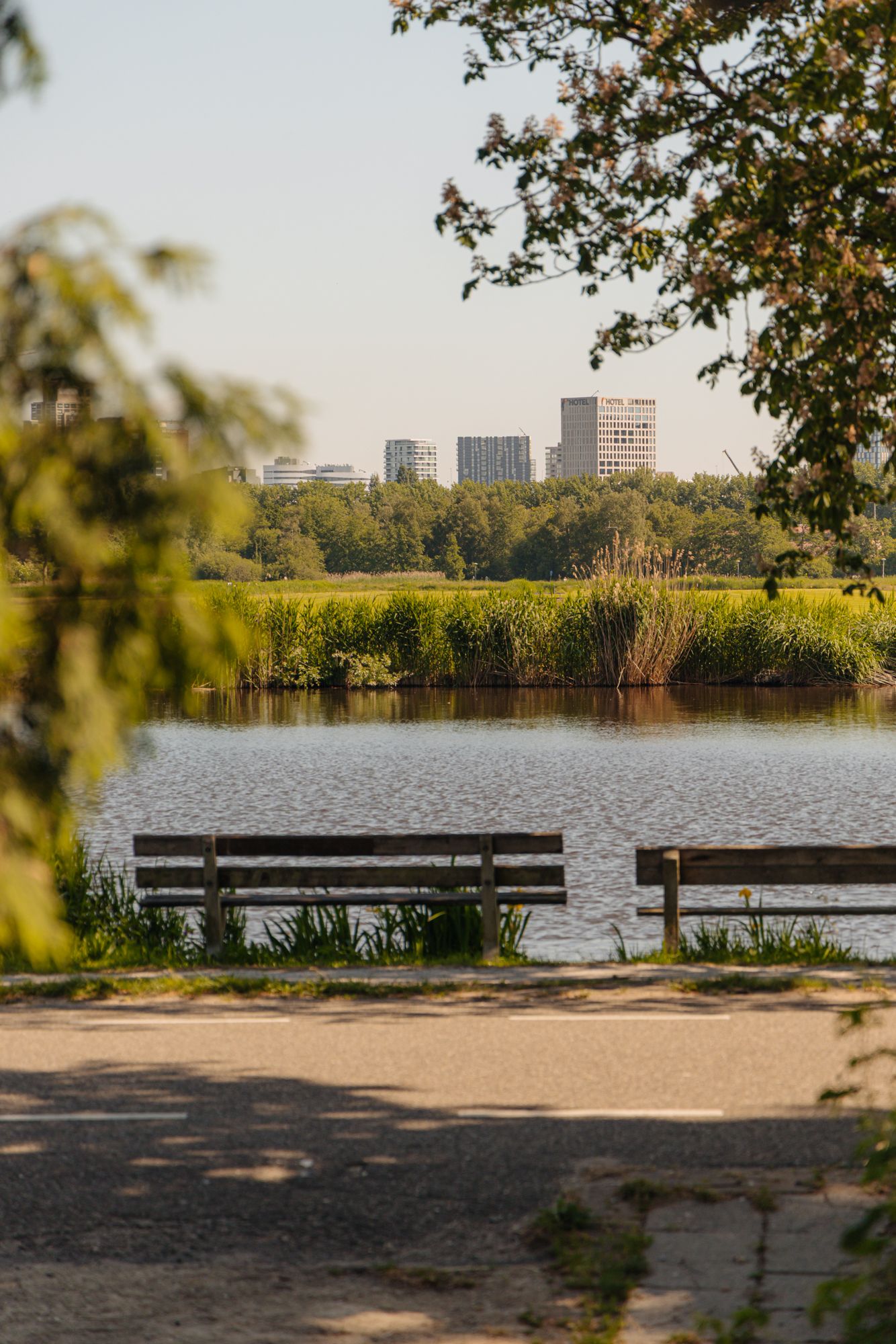 Photo 9 of Amsteldijk Noord 137