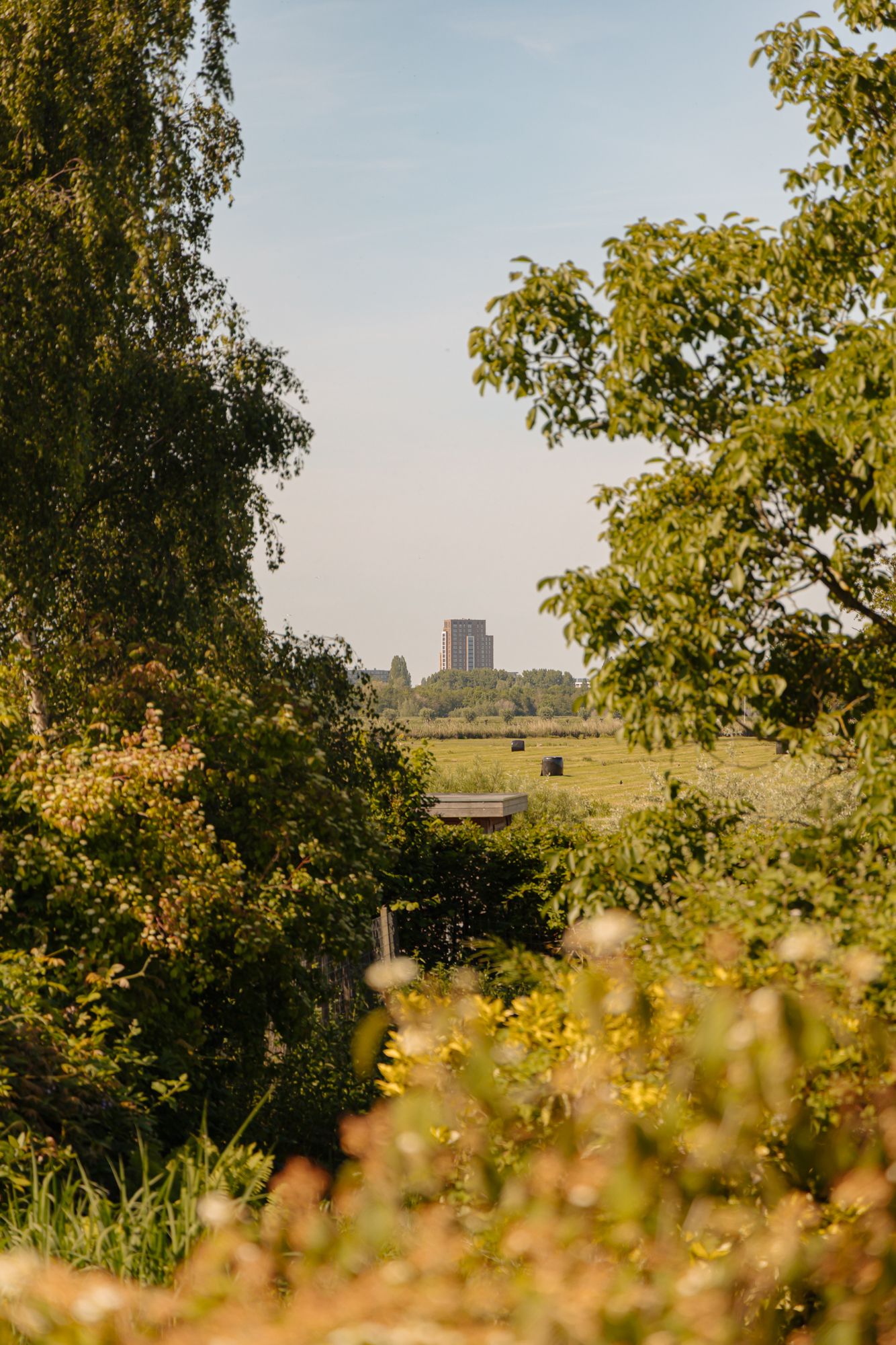 Photo 6 of Amsteldijk Noord 137