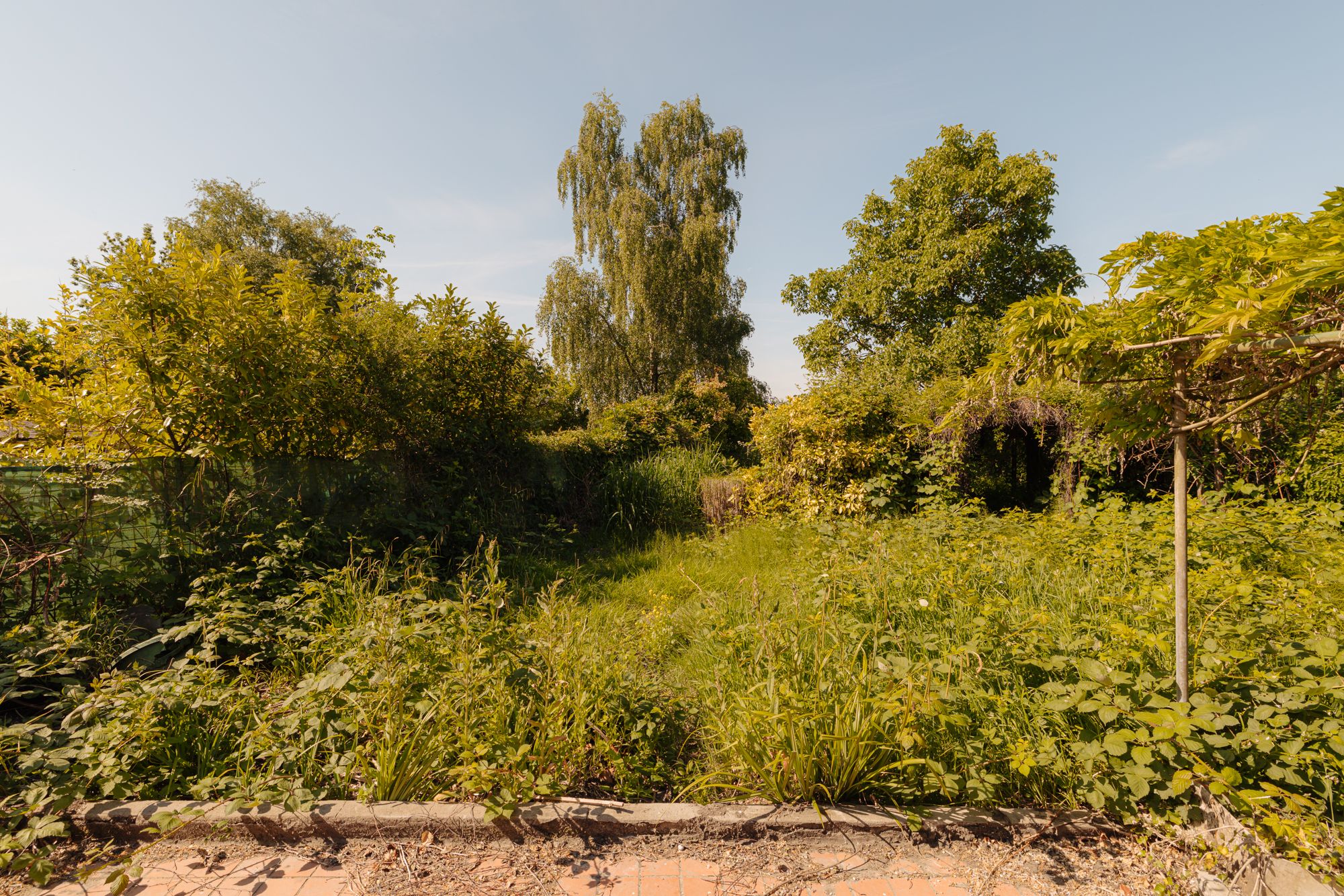 Photo 18 of Amsteldijk Noord 137