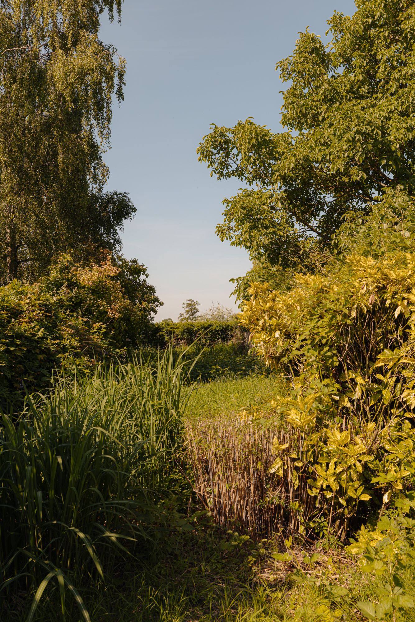 Photo 19 of Amsteldijk Noord 137