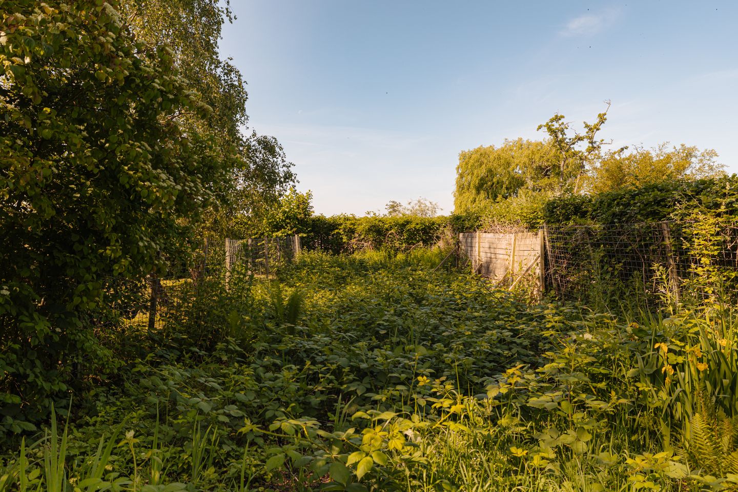 Photo 20 of Amsteldijk Noord 137