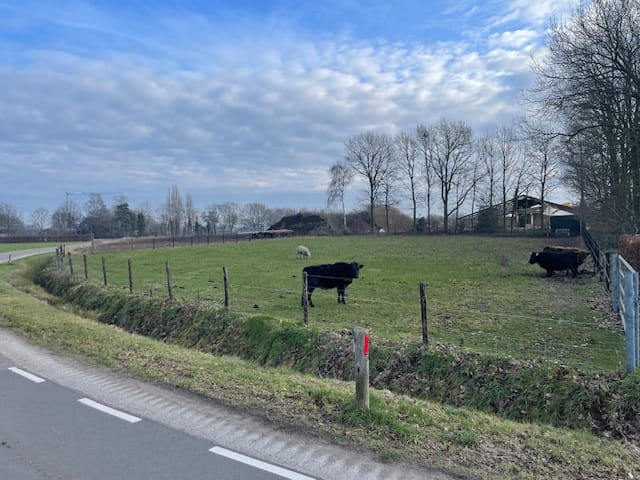 Photo 4 of Belgerenseweg