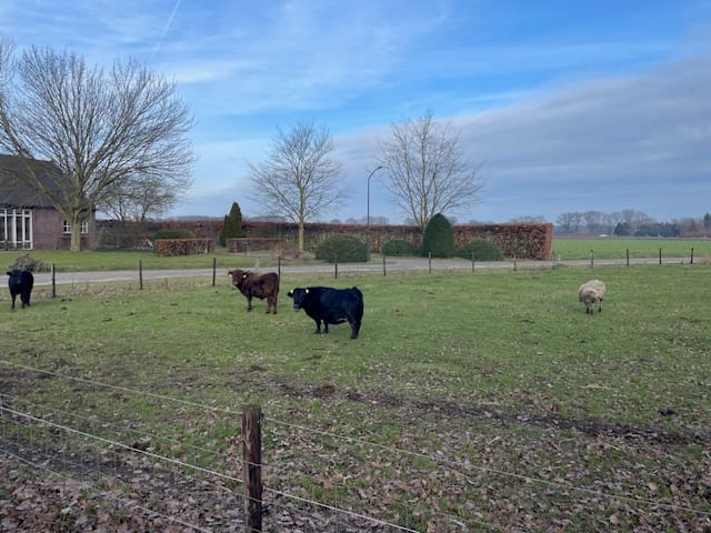 Photo 5 of Belgerenseweg