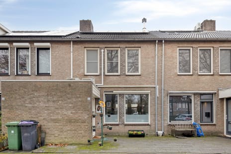 Schutsboom thumbnail