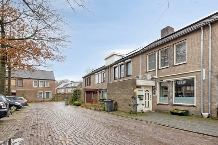 Foto 3 van Schutsboom 37